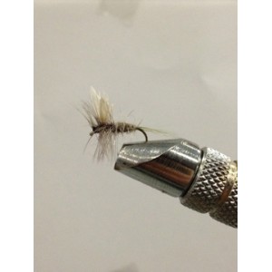 AQUA BLUE DUN DA012 AMO 16