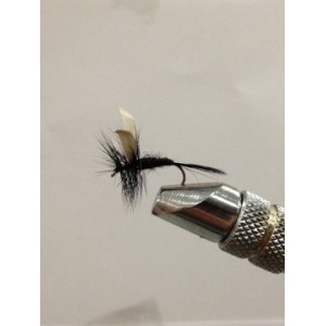 AQUA BLACK GNAT DA002 AMO 14