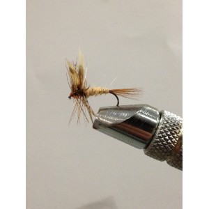 AQUA MATCH BROWN DA001 AMO 14