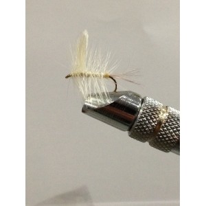 AQUA LIGHT WINGED PALMER DA537 AMO 12