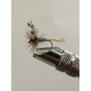 AQUA ADAMS DA024 AMO 12