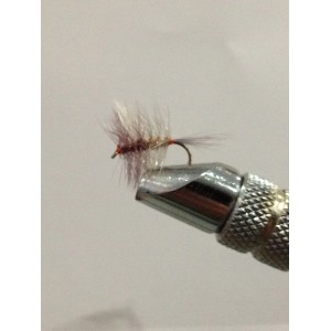 AQUA DUN WINGED PALMER DA536 AMO 14