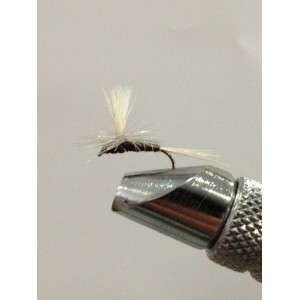 AQUA IRON DUN PARACHUTE DA049 AMO 16