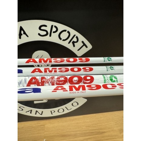 ARTICO BOLOGNESE SISMICA AM909-4 ARTICO BOLOGNESE SISMICA AM909-4