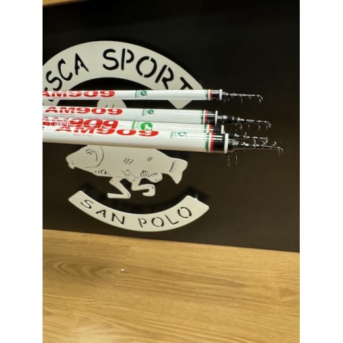 ARTICO BOLOGNESE SISMICA AM909-6