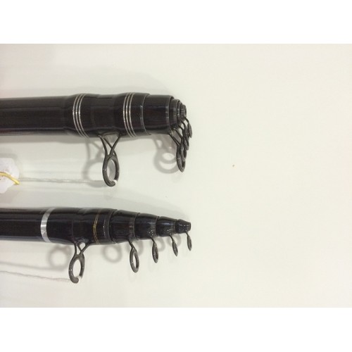 ARTICO PALAMITA DA MARE-1