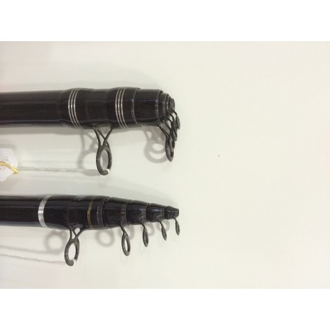 ARTICO PALAMITA DA MARE-1