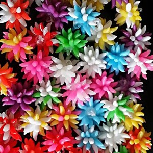 EVOLUTION CARP TACKLE BALL BAIT 