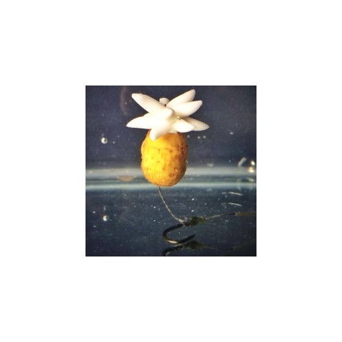 EVOLUTION CARP TACKLE MAGGOT PLUG-0