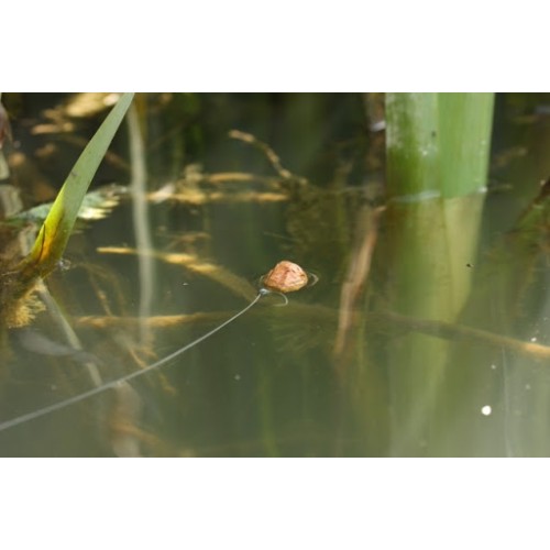 KORDA KRUISER CONTROL LINE 0,25 MM-0