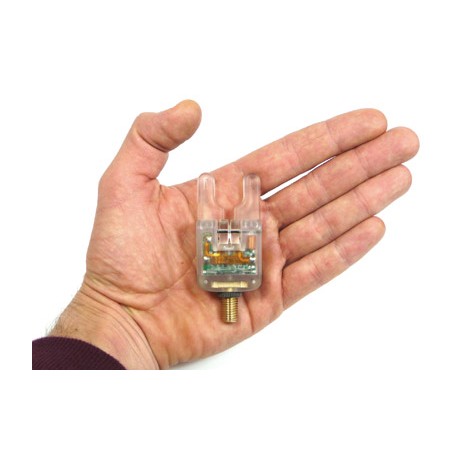 ATTS CRYSTAL UNDERLIT-5