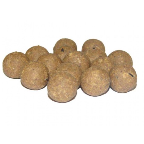 **CCMOORE ODYSSEY XXX SHELF LIFE BOILES-0