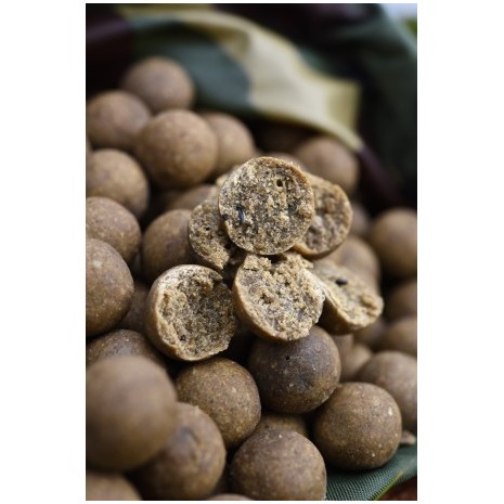 **CCMOORE ODYSSEY XXX SHELF LIFE BOILES-1