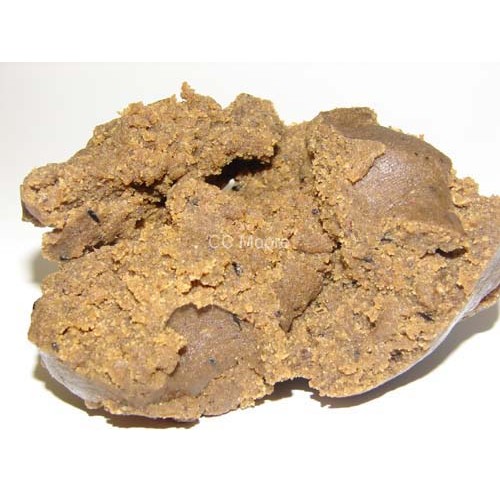 **CCMOORE ODYSSEY XXX PASTE-0