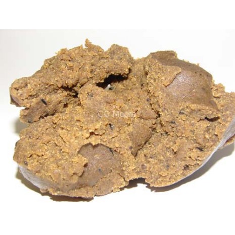 **CCMOORE ODYSSEY XXX PASTE-0