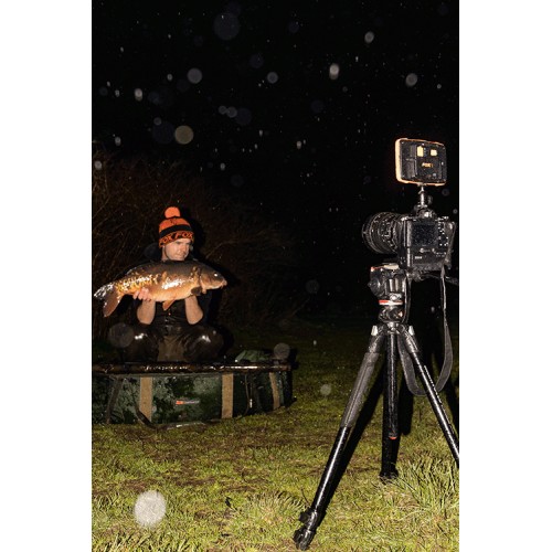 FOX HALO PHOTOGRAPHY LIGHT-2