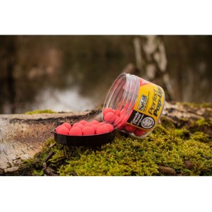 SOLAR PERFECT POP UP CANDY FLOSS 