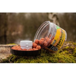 SOLAR HARDENED HOOKBAITS QUENCH