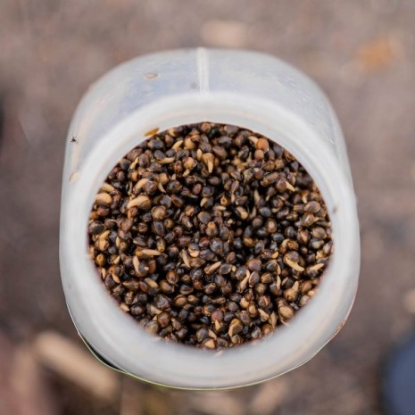 NASH OILY HEMP 2,5 KG-0