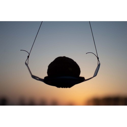 WOLF CATAPULTA FLY BALL-0