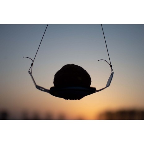 WOLF CATAPULTA FLY BALL-0