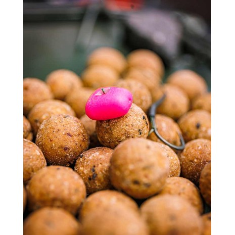 FOX EDGES ESSENTIALS POP-UP CORN-2