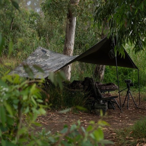 NASH BANK LIFE MULTI TARP CAMO XL-3