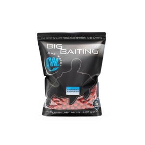 ANY WATER BIG BAITING STRAWBERRY & ASAFOETIDA 5 KG.