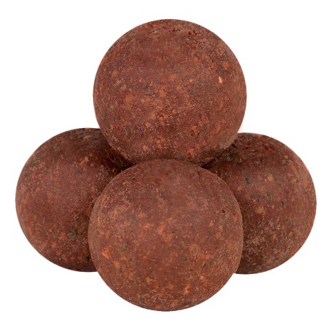 BOILHAZE TOP BOILES GARLIC & SQUID OCTOPUS 500 GR.