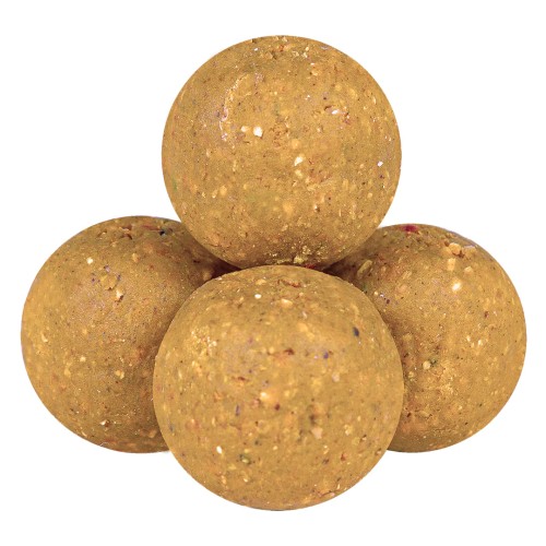 BOILHAZE TOP BOILES PLASMA SCOPEX SQUID OCTOPUS...