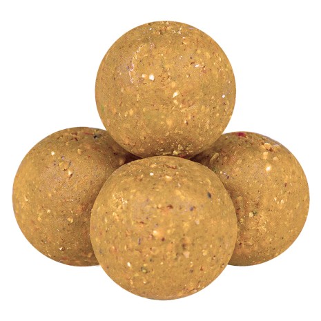 BOILHAZE TOP BOILES PLASMA SCOPEX SQUID OCTOPUS 500 GR.