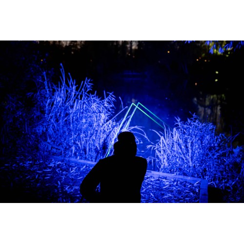 NASH POWERBANX UV HEADTORCH