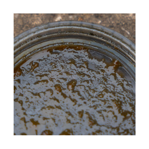 AVID CARP HOOKBAIT POTS LARGE 4 PZ.