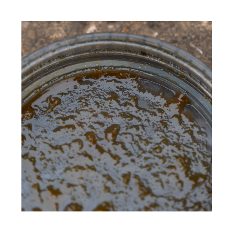 AVID CARP HOOKBAIT POTS LARGE 4 PZ.