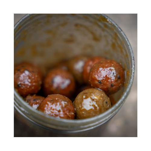 AVID CARP HOOKBAIT POTS LARGE 4 PZ.