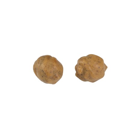 FOX EDGES TIGERNUTS