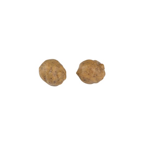 FOX EDGES TIGERNUTS