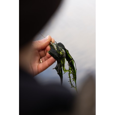 °KORDA PIOMBO DA PLUMBING GRAPPLE LEAD