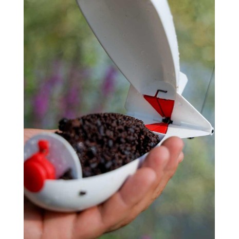 *.SPOMB ORIGINALE MIDI-MIDI X-LARGE E LARGE X-6