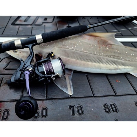 DAIWA 23 FREESWIMMER BR LT5000DC