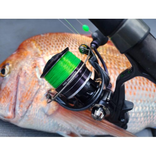 DAIWA 23 FREESWIMMER BR LT5000DC